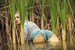 wetfoto girl makes her jeans clothes pantyhose soaking wet
